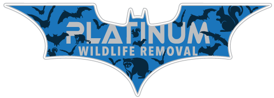 Wildlife Control Jefferson County